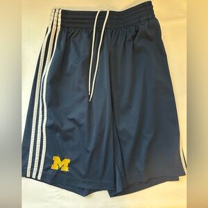 University of Michigan 2014 2015 Men's Athletic Team Shorts